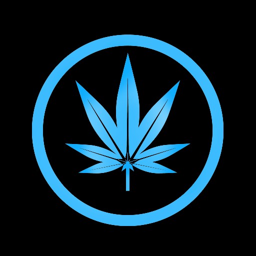 Outsider Labs Logo