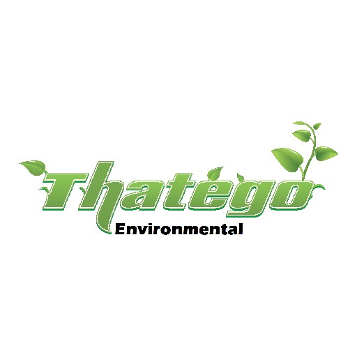 Thatego Logo