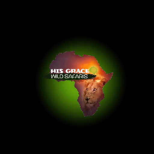 GoExpat Safaris Logo
