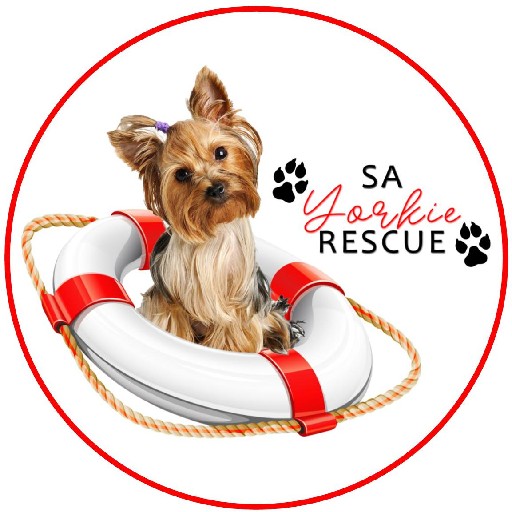 SA Yorkie Rescue Logo