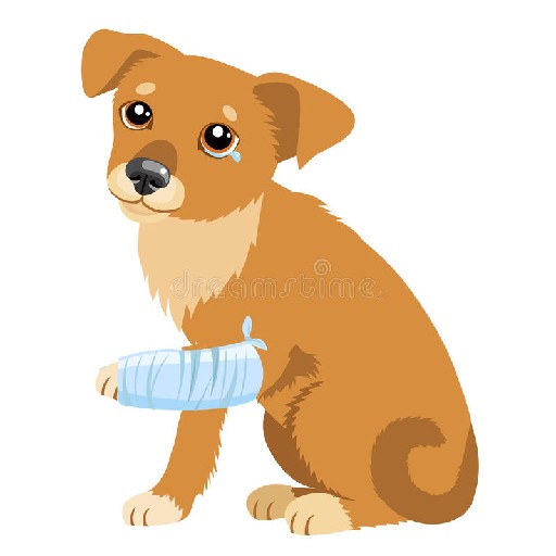 Pet Insurance SA