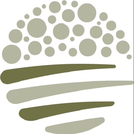 Schaumstein Logo