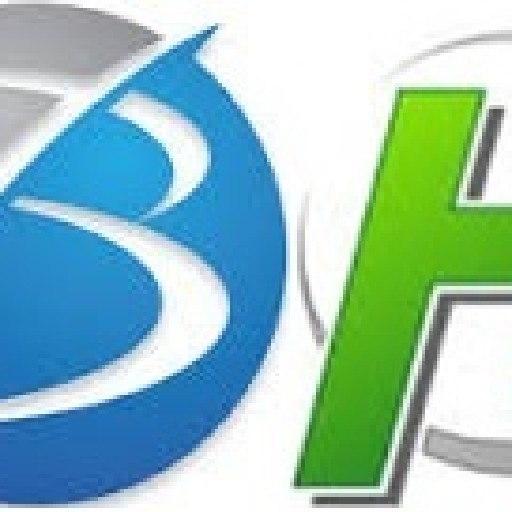 BhunganeHoldings Logo