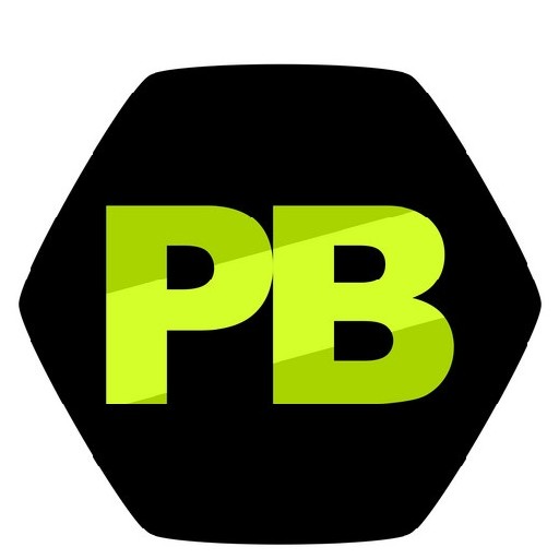 Preller Bricks PTY LTD Logo