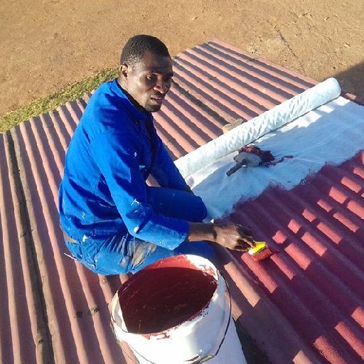 Roofleaksandwallcoatings Logo