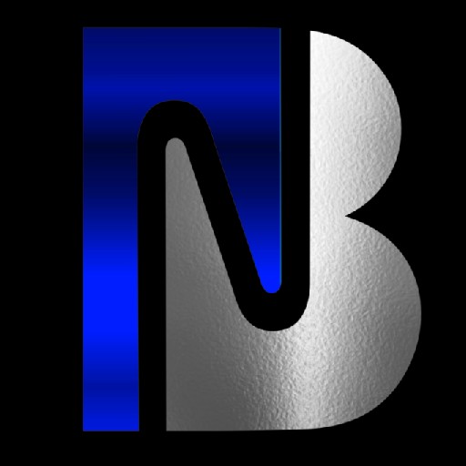 Borake Netserve Logo