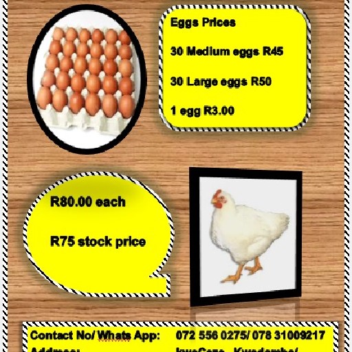 CengeLihleH Poultry Farm Logo