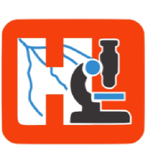 Hamadi Lab