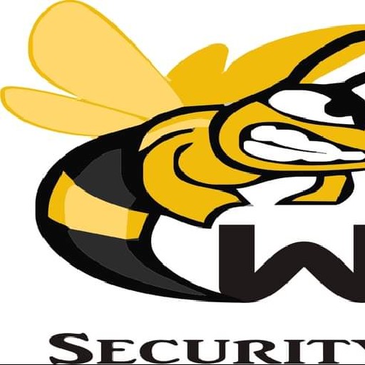 Wasp Security Solutions