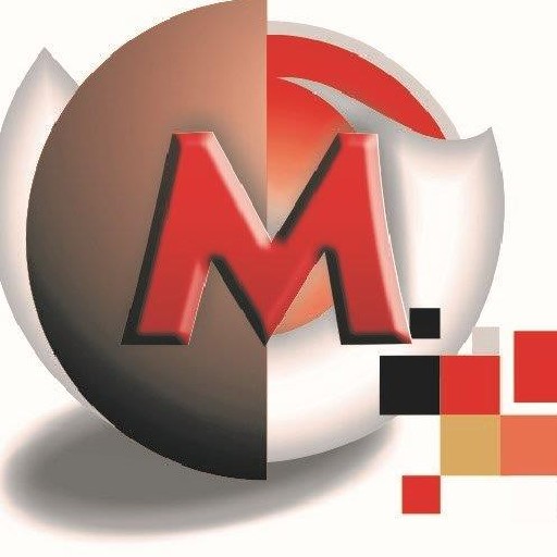 ML Schoeman Attorney Logo