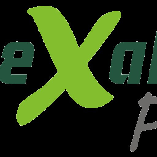ExalonPOS Logo