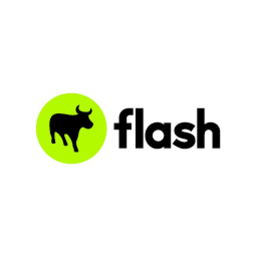 Flash Group