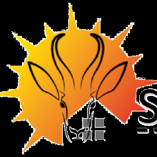 SolarBoks(Pty) Logo