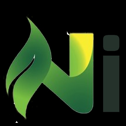Nikola Energy Logo