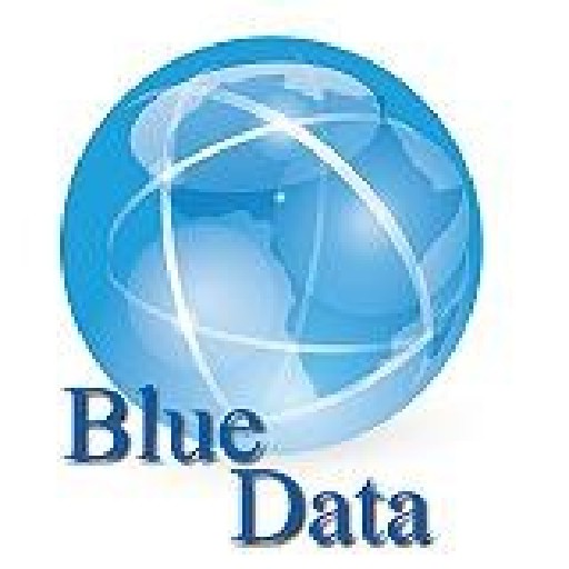 BlueData Corporate Solutions Logo