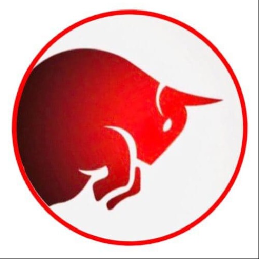 Stellar Fx Logo