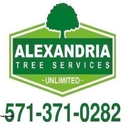 Alexandria Tree Services Unlimited Logo