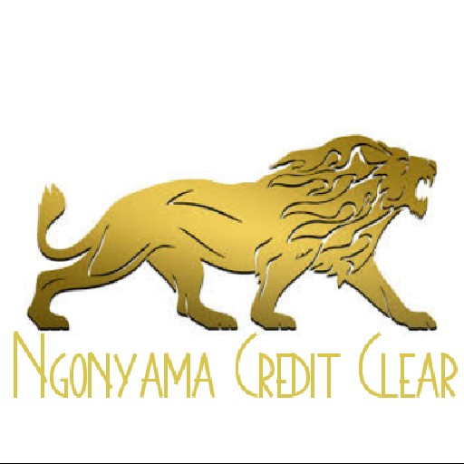 Ngonyama Credit Clear a Division of Suthukazi Holdings (Pty) Ltd Logo