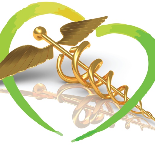 Legacy Emergency Specialist eMalahleni Logo