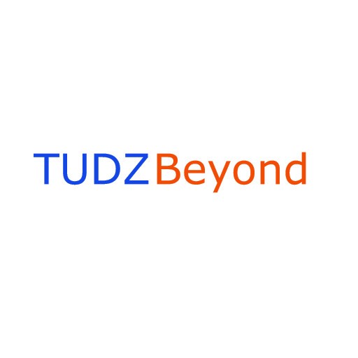 TUDZ Beyond (Pty) Ltd Logo