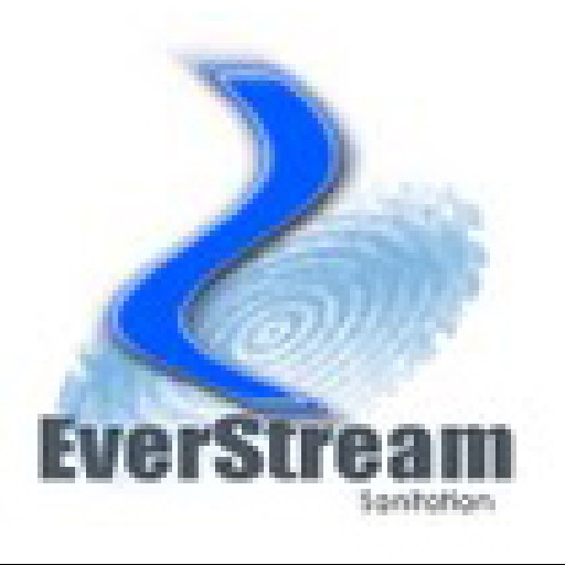 EVERSTREAM TRADING Logo