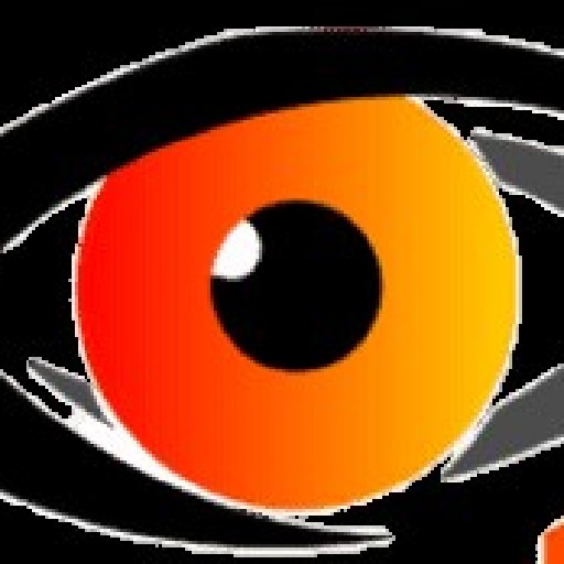 Fleet Eye Solutions Logo