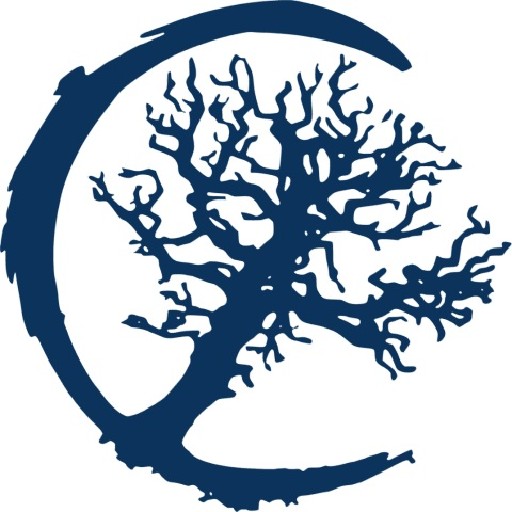 Cosmic Micro Computers cc Logo