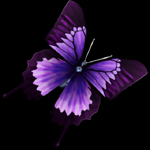 Health Essence Dr Estie Terblanche Logo
