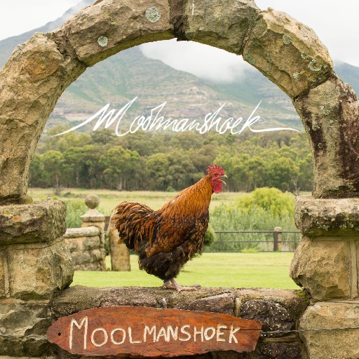Moolmanshoek Private Game Reserve Logo