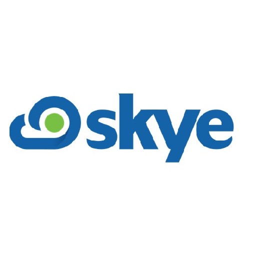 Skye Business Management Software Logo