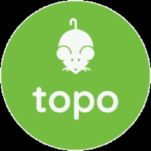 Topo Software Logo