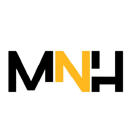 MEGA NETWORK HOLDINGS (PTY) LTD Logo