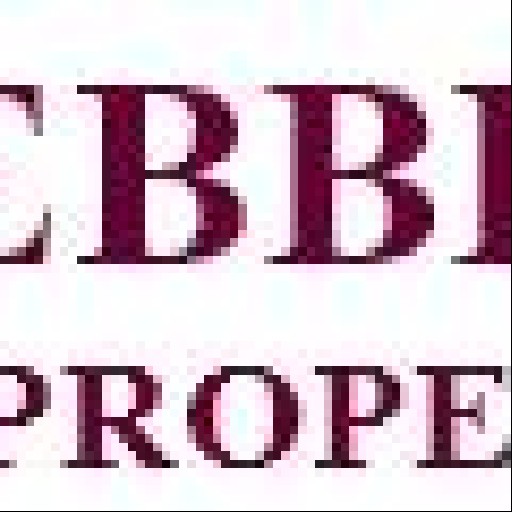 Pebblestone Properties 48cc Logo
