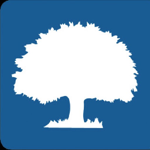 Easytrax Cash Loan