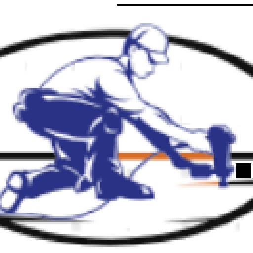 Buphara Holdings and Projects Logo