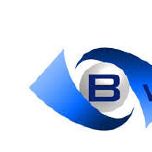 Bwise Financial Solutions Kimberley (Jay Kanjee) Logo