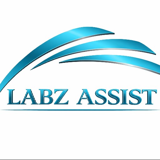 Labz Assist Logo