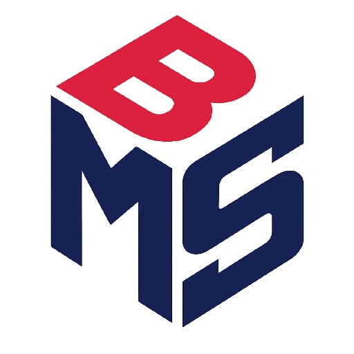 Budget Moving Services Logo