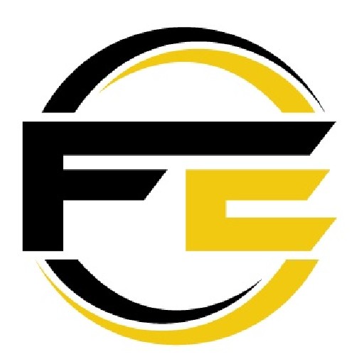 The Finance Experts Logo