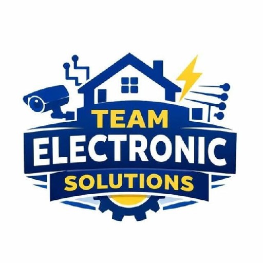 Team Electronic Solutions Logo