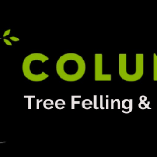 Columbus Tree Felling