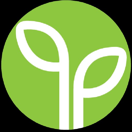 Pay Plan Solutions