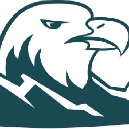 Literally Tax Consulting Logo
