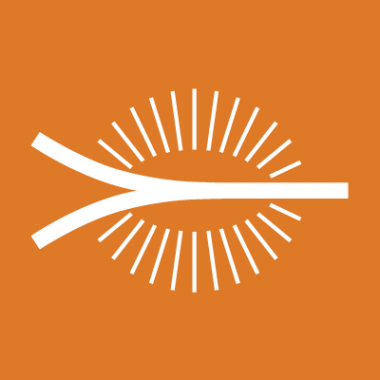 Moses Mabhida Stadium Logo