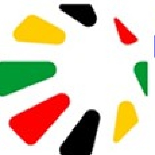 Scottfin Logo