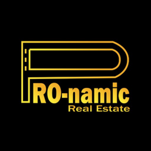 Pro-Namic Real Estate Logo