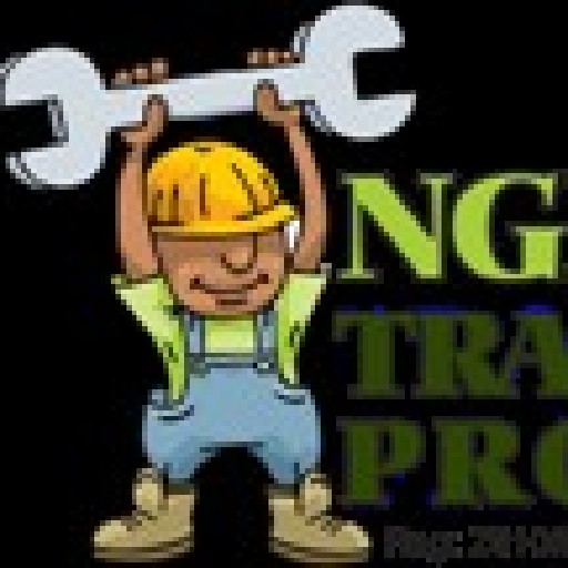 Ngishilo Trading Logo