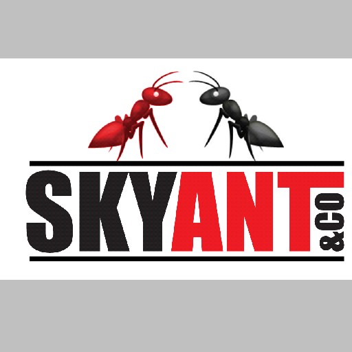 Skyant&co Logo