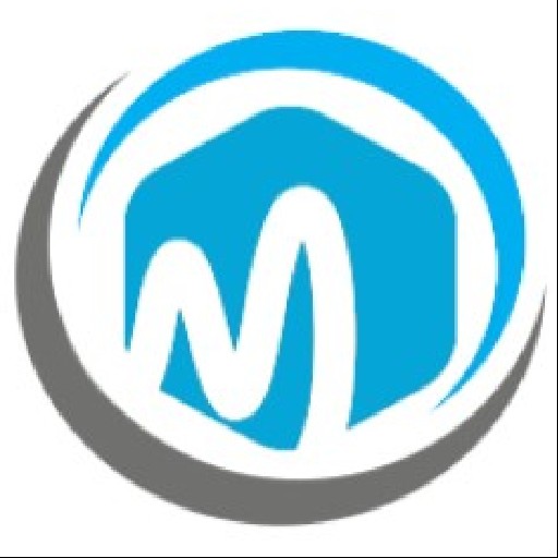 Metro Expert Logo