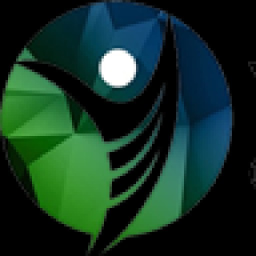 YDS - Your debt solution